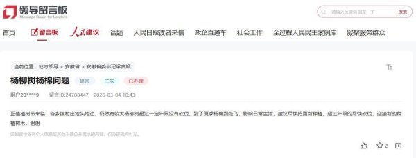 有回音丨漫天飞絮何时休？淮北多措并举解难题