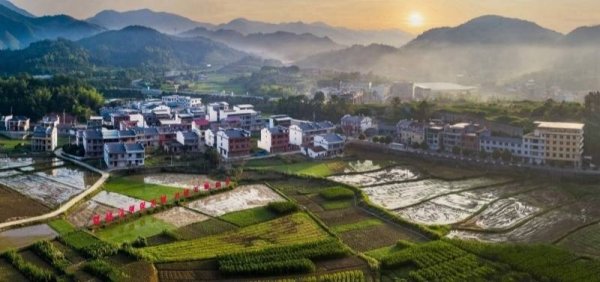 湖北通山：以精准监督护航高标准农田建设