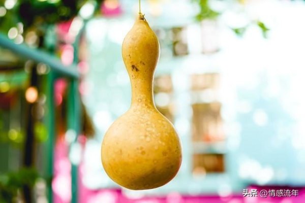 “合卺之欢”是什么意思，卺字怎么读，有什么典故？
