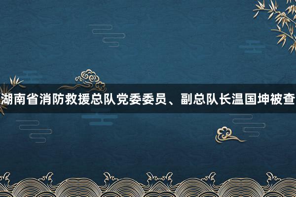 湖南省消防救援总队党委委员、副总队长温国坤被查