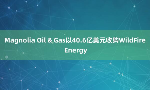 Magnolia Oil & Gas以40.6亿美元收购WildFire Energy