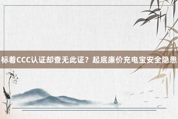 标着CCC认证却查无此证？起底廉价充电宝安全隐患