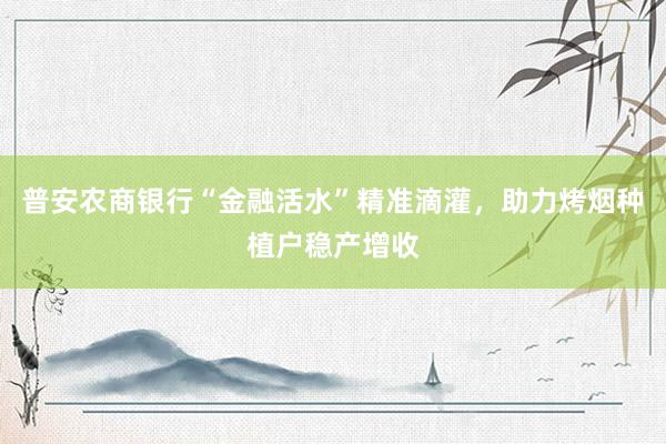 普安农商银行“金融活水”精准滴灌，助力烤烟种植户稳产增收