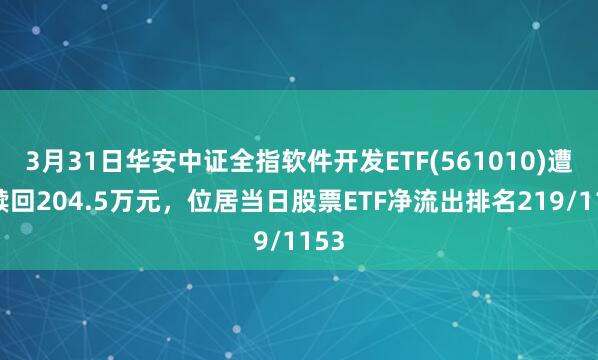 3月31日华安中证全指软件开发ETF(561010)遭净赎回204.5万元，位居当日股票ETF净流出排名219/1153