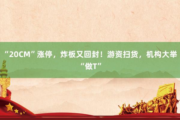 “20CM”涨停，炸板又回封！游资扫货，机构大举“做T”