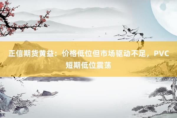 正信期货黄益：价格低位但市场驱动不足，PVC短期低位震荡