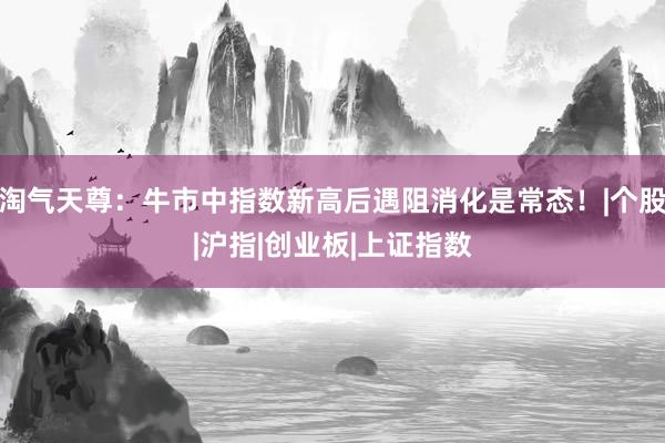 淘气天尊：牛市中指数新高后遇阻消化是常态！|个股|沪指|创业板|上证指数