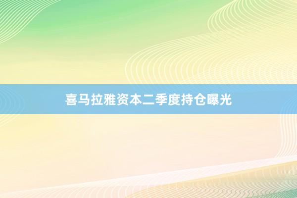喜马拉雅资本二季度持仓曝光