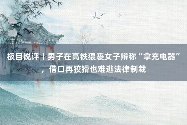 极目锐评丨男子在高铁猥亵女子辩称“拿充电器”，借口再狡猾也难逃法律制裁