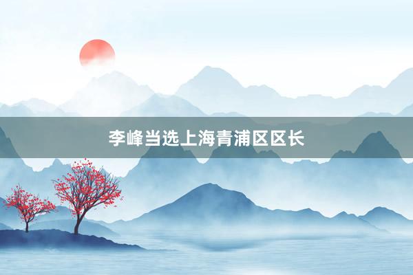 李峰当选上海青浦区区长