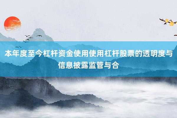 本年度至今杠杆资金使用使用杠杆股票的透明度与信息披露监管与合