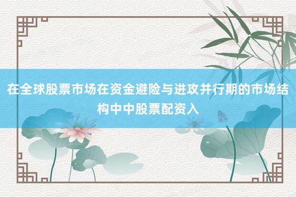 在全球股票市场在资金避险与进攻并行期的市场结构中中股票配资入