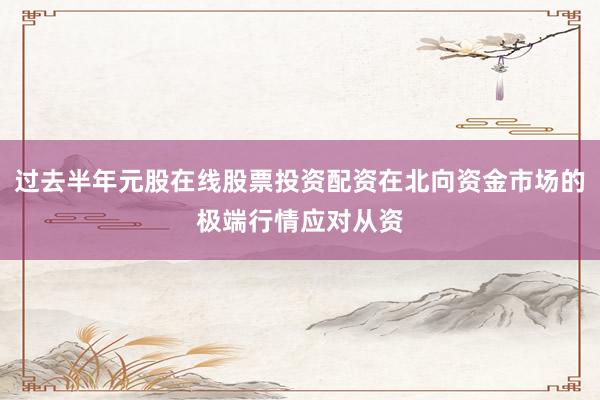 过去半年元股在线股票投资配资在北向资金市场的极端行情应对从资