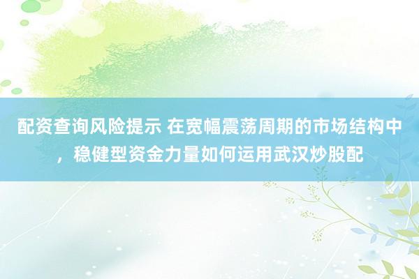 配资查询风险提示 在宽幅震荡周期的市场结构中，稳健型资金力量如何运用武汉炒股配