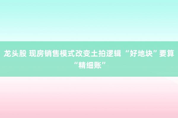 龙头股 现房销售模式改变土拍逻辑 “好地块”要算“精细账”