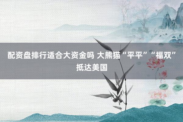 配资盘排行适合大资金吗 大熊猫“平平”“福双”抵达美国