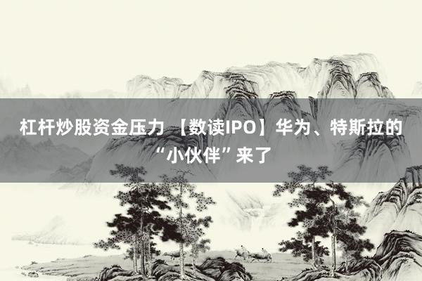 杠杆炒股资金压力 【数读IPO】华为、特斯拉的“小伙伴”来了